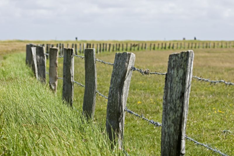 Barbed Wire Fence Service